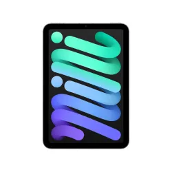 iPad Mini - 8.3