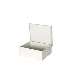 Gabinete DSC GS-004 - Metálico - Para modulos DSC SECO LARM - 190x230x90mm - GS-004 Gabinete DSC GS-004 - Metálico - Para modulos DSC SECO LARM - 190x230x90mm - GS-004