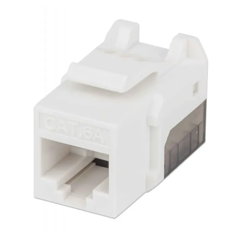 Jack Intellinet - Cat6a - RJ-45 - Blanco con Negro - 772358