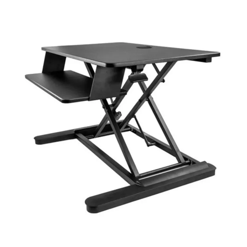 Estación Trabajo StarTech.com ARMSTSLG - Capacidad 2 Monitores - soporta 12 Kg - Negro - ARMSTSLG