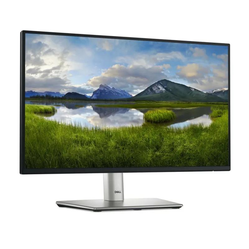 Monitor Dell P2225H - 21.5" - Full HD - HDMI - DisplayPort - VGA - 210-BLXJ