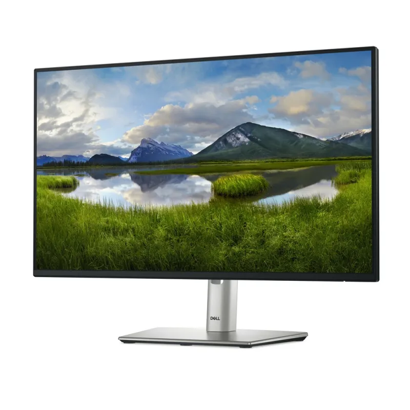 Monitor Dell P2425H - 23.8" - Full HD - HDMI - DisplayPort - VGA - 210-BMGH