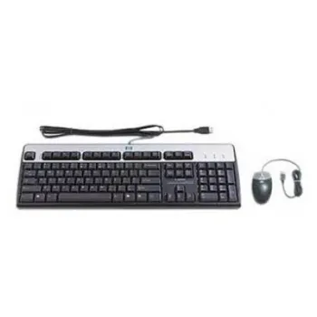 Teclado Y Mouse Hp Bfr Pvc Usb Inglés Negro/Plata - 631341-B21