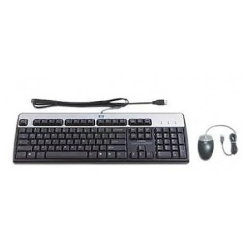 Teclado Y Mouse Hp Bfr Pvc Usb Inglés Negro/Plata - 631341-B21