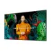 Monitor Profesional Samsung LH55QBCEBGCXGO - 55" - 4K Ultra HD - Wi-Fi - HDMI - USB - 16/7 - LH55QBCEBGCXGO