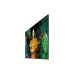 Monitor Profesional Samsung LH55QBCEBGCXGO - 55" - 4K Ultra HD - Wi-Fi - HDMI - USB - 16/7 - LH55QBCEBGCXGO