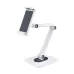 Soporte StarTech.com - 4.7" a 12.9" - Articulado - para Tablet - ADJ-TABLET-STAND-W Soporte StarTech.com - 4.7" a 12.9" - Articulado - para Tablet - ADJ-TABLET-STAND-W
