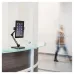 Soporte Universal StarTech.com - para Tablets 4.7" a 12.9" - ARMTBLTDT