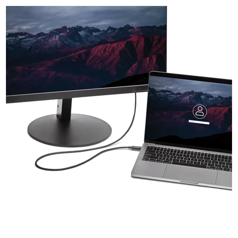 Cable Convertidor StarTech.com - USB-C a VGA - 2M - 1920x1200 - CDP2VGAMM2MB