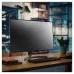 Filtro de Privacidad StarTech.com - 27" - PRIVSCNMON27