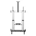Soporte de Piso StarTech.com STNDMTV100 - 60" a 100" - Soporta 100 kg - Para Pantalla - Móvil - STNDMTV100 Soporte de Piso StarTech.com STNDMTV100 - 60" a 100" - Soporta 100 kg - Para Pantalla - Móvil - STNDMTV100