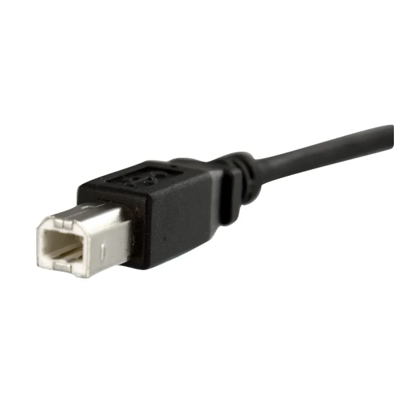Cable StarTech.com - USB de Montaje - USB B a USB B - USBPNLBFBM1