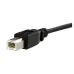 Cable StarTech.com USB 2.0 para Montaje en Panel Macho a Hembra USB B - 90cm - USBPNLBFBM3 Cable StarTech.com USB 2.0 para Montaje en Panel Macho a Hembra USB B - 90cm - USBPNLBFBM3
