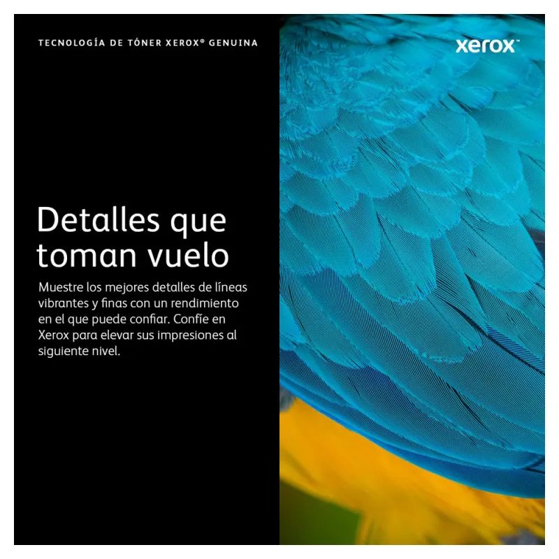  Contenedor de Residuos Xerox 008R13326 - 15000 Páginas - Para Xerox C230 / C235 - 008R13326