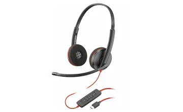 Audio
