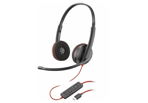 Audio