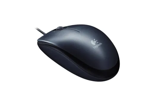 Mouse
