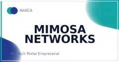 MIMOSA NETWORKS