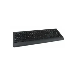 Teclado Lenovo Profesional USB Negro Teclas Estándar Modelo 4X30H56876
