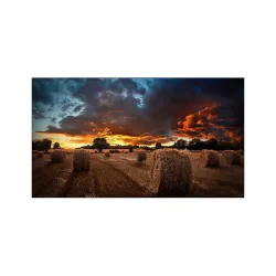 Monitor Profesional Samsung 46 Pulgadas Full HD Videowall Modelo VM46B-U