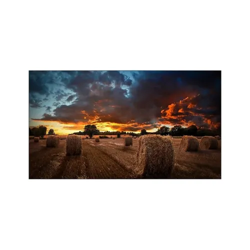 Monitor Profesional Samsung 46 Pulgadas Full HD Videowall Modelo VM46B-U Monitor Profesional Samsung 46 Pulgadas Full HD Videowall Modelo VM46B-U